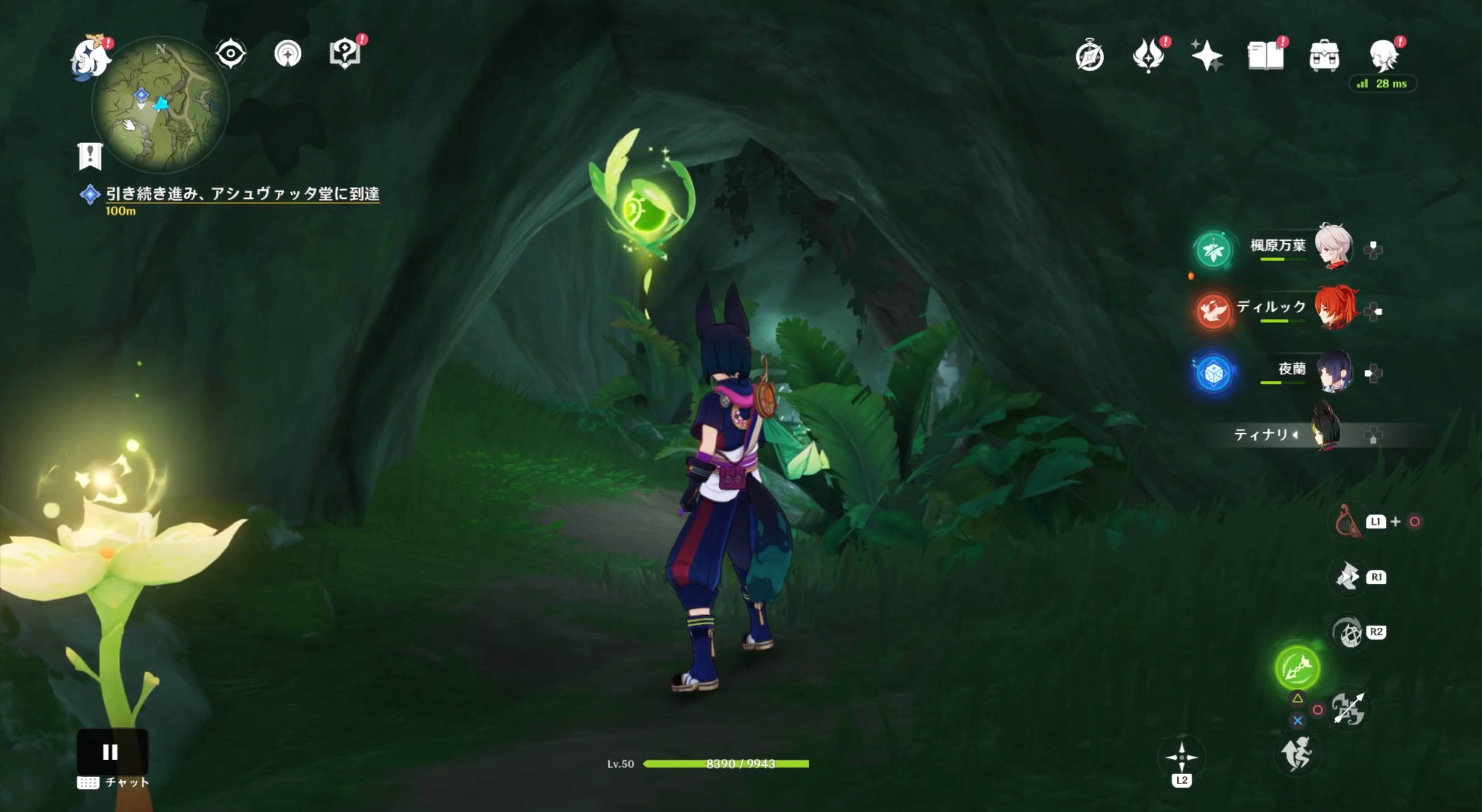 ツタ草に阻まれた道の先