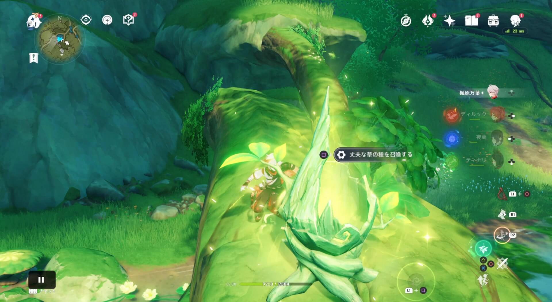 草の種を使用可能に