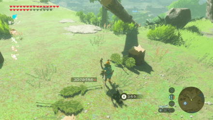 コログのうちわの場所画像