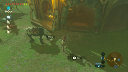 地面に置いてあげる