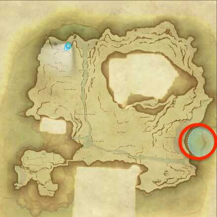 無人島のスキッドの採集場所画像