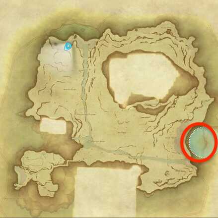 無人島のジェリーフィッシュの採集場所画像