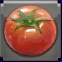 アイルトマトの画像