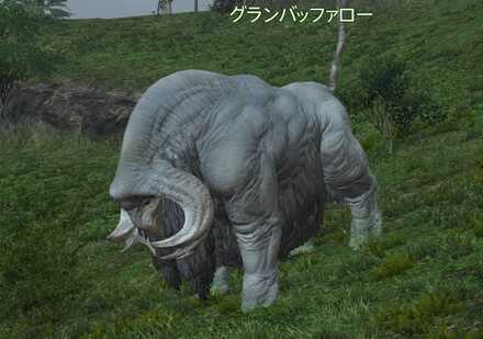 グランバッファローの画像