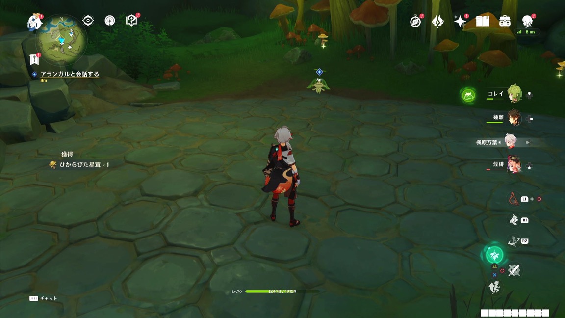 アランガルの落書き