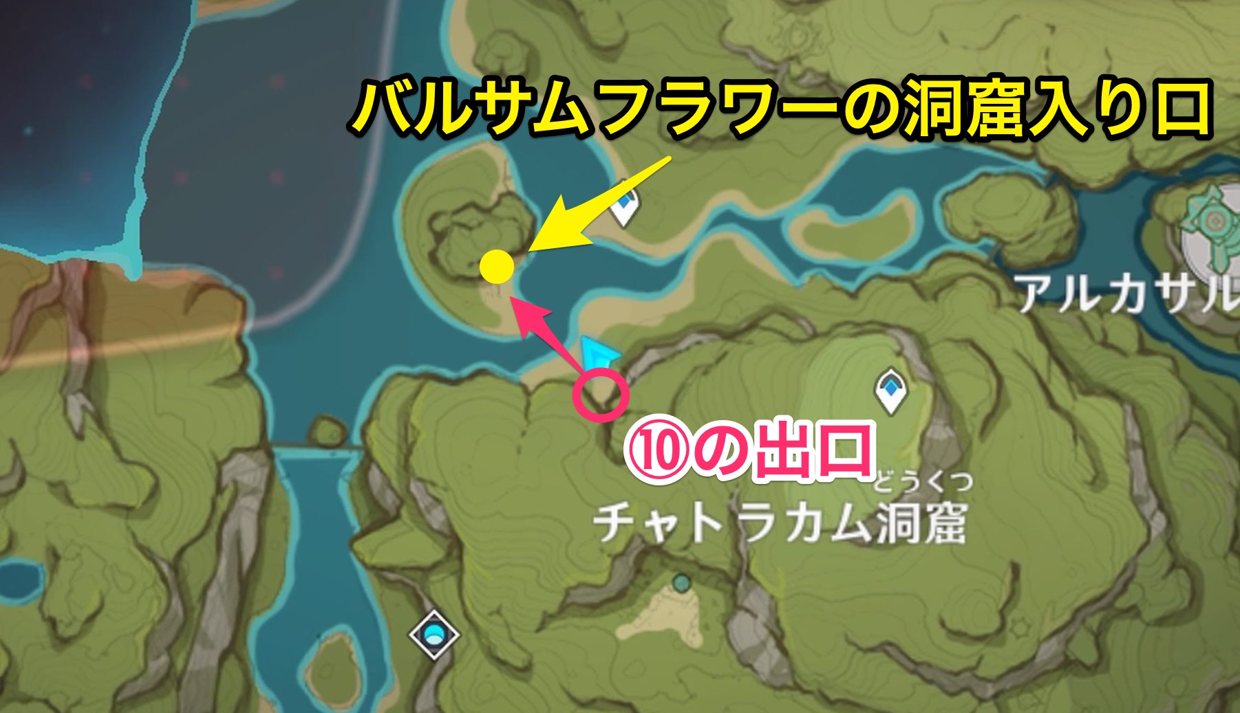 バルサムフラワーの洞窟までの道のり