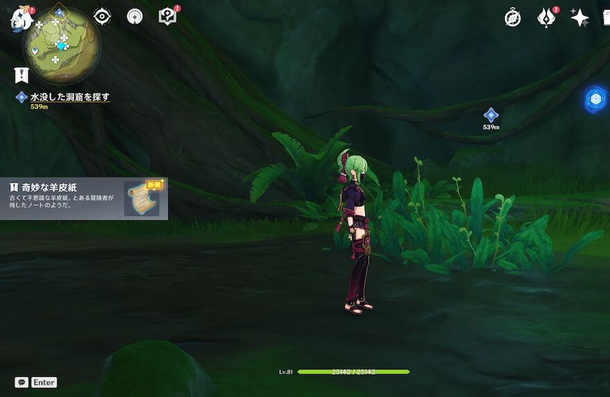 奇妙な羊皮紙はヴィマナ聖典にて入手