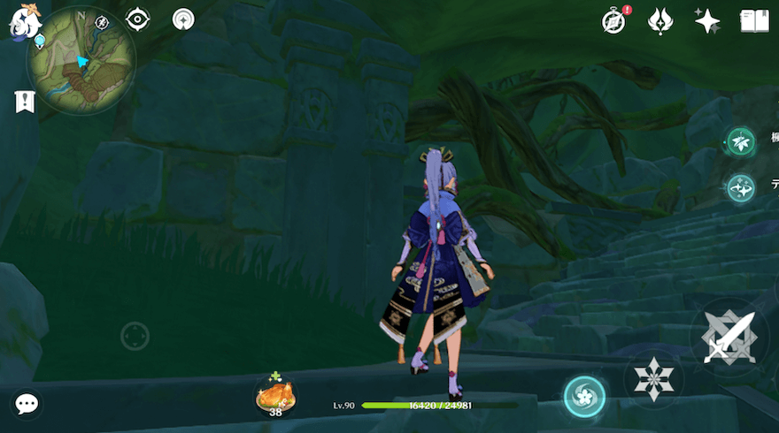 滝壺の横からの洞窟からは侵入不可