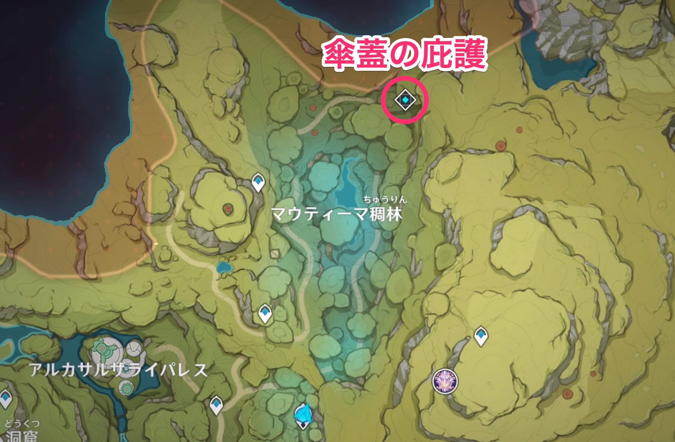 傘蓋の庇護の場所