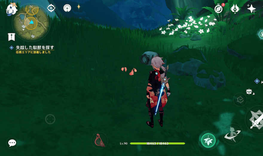 道中にあるハッラの実とザイトゥン桃を拾っておく