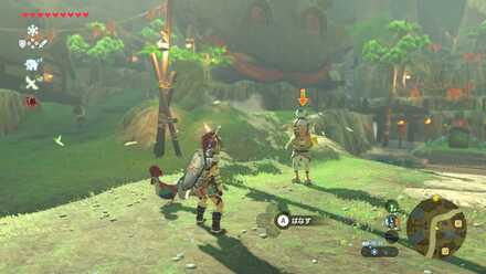 カンギスの見た目