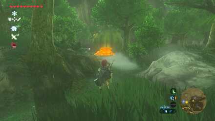 妖精の泉の見た目