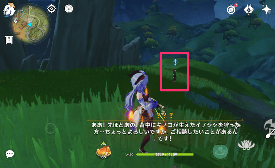 キノシシに攻撃を当てた後に出現する人物に話しかける