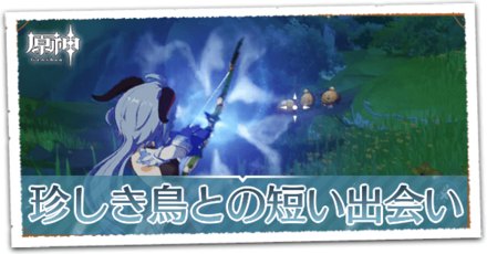 珍しき鳥との短い出会いの画像