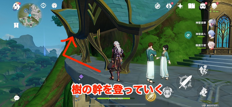 教令院左の樹の幹を登っていく