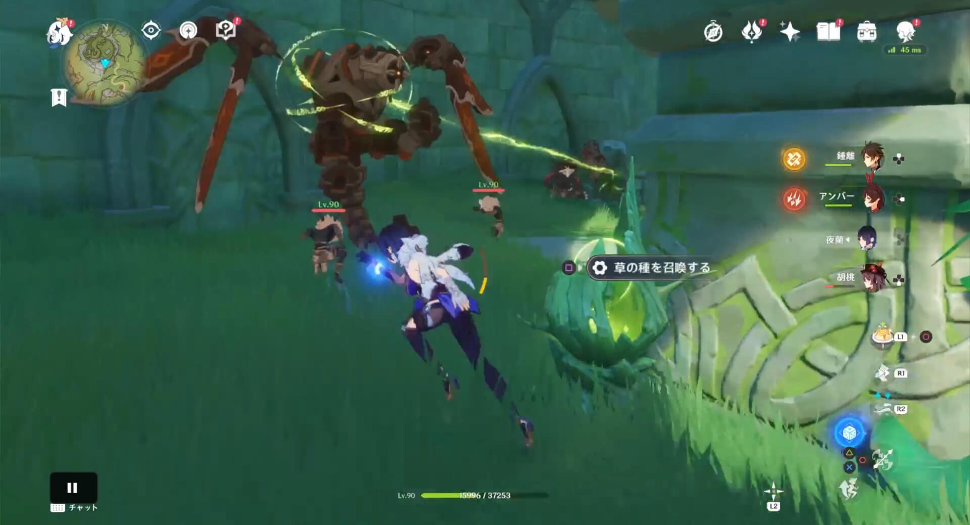 草の種は遺跡ドレイク・飛行の前に設置してある