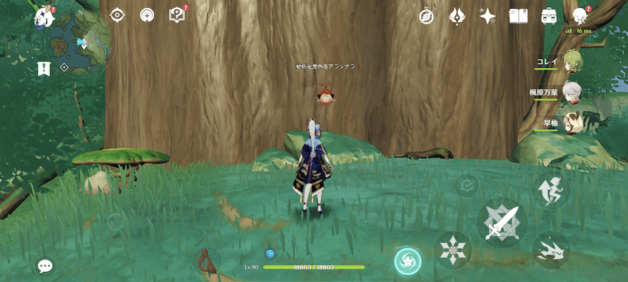 71材料を集めるアランナラ