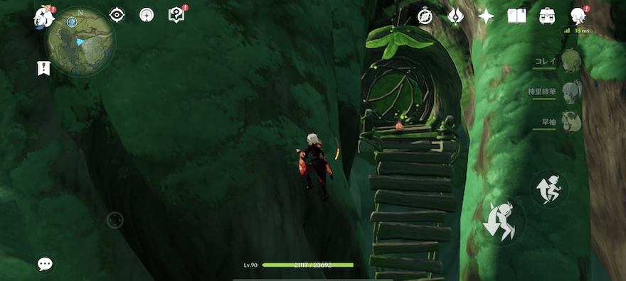 音楽を愛するアランナラ