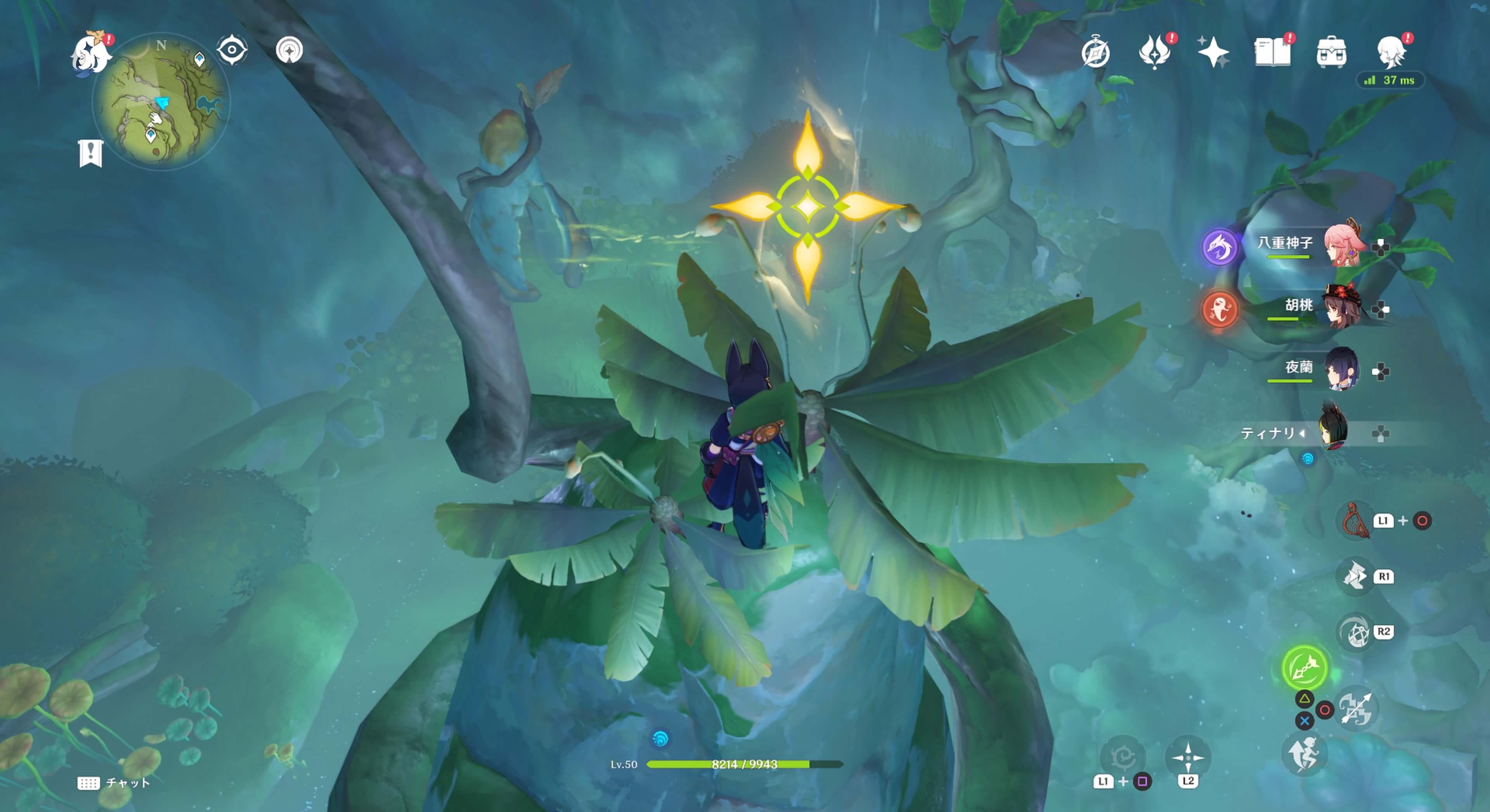 ワープゲートの奥に森の裏道