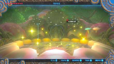 大妖精の泉の撮影画面