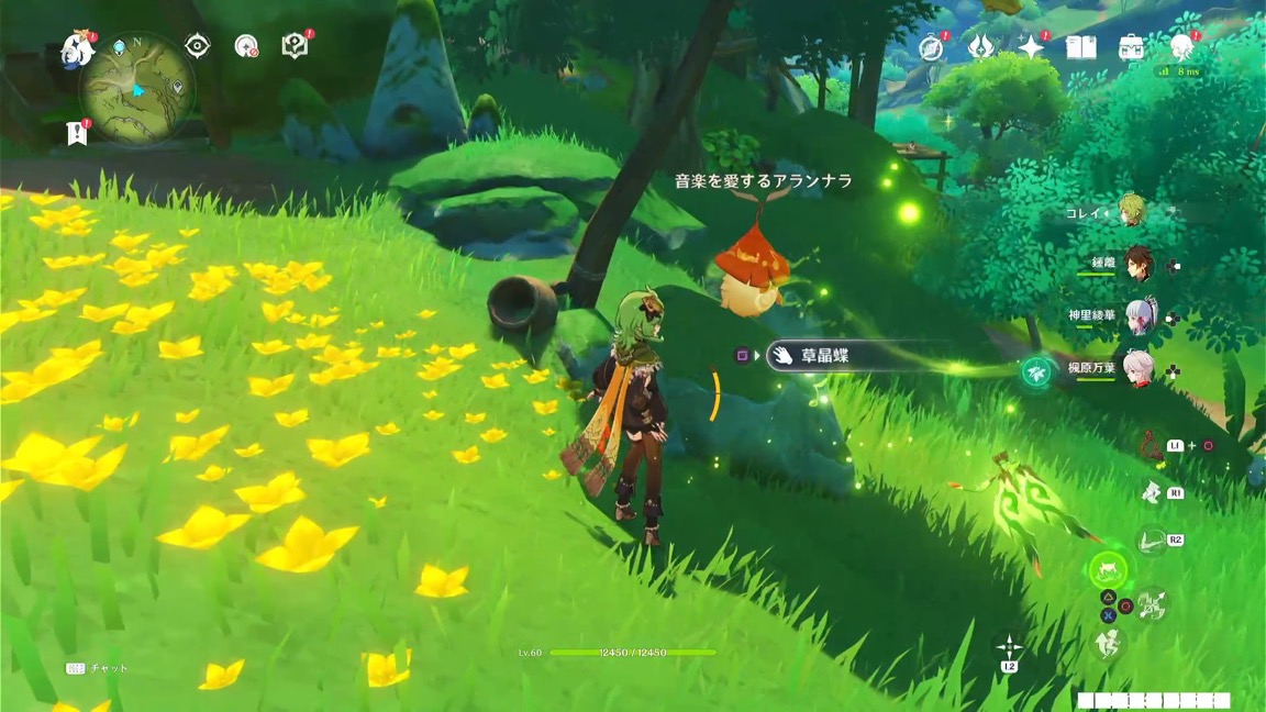 音楽を愛するアランナラ