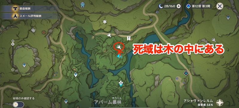 アパーム叢林の木の中の死域