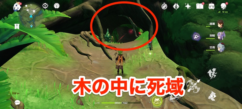 アパーム叢林の木の中の死域