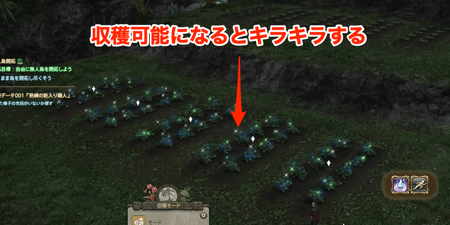 収穫可能な作物