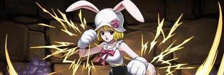 【9206】キャロット