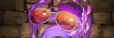 【9166】ロビンのサングラス