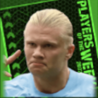 TPエーリングホーランド(9/1)画像