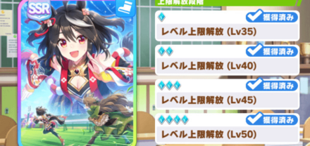 サポートは基本的に完凸前提