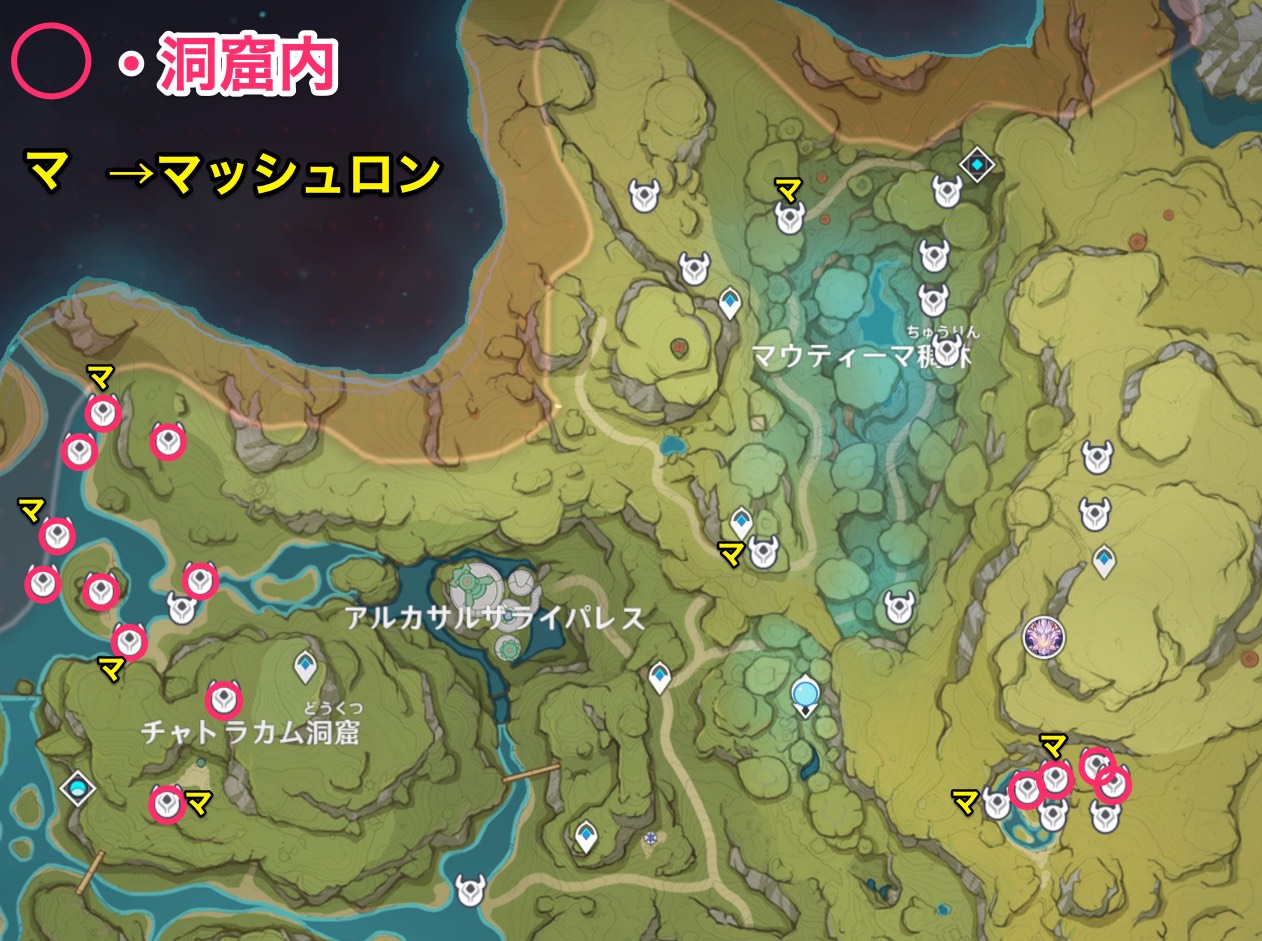 ローカパーラ密林