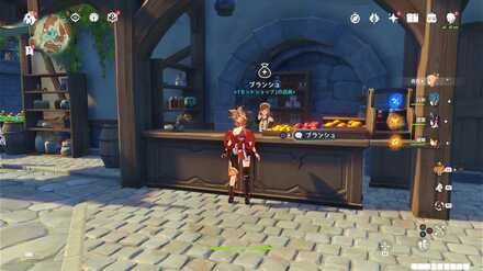 ブランシュ(モンドショップ)の姿