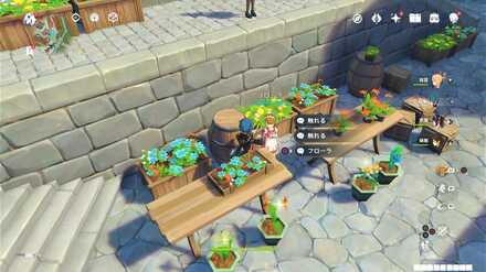 フローラ(花言葉)の姿