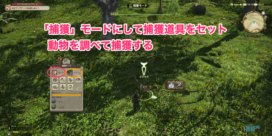 島の動物を捕獲し、飼育する