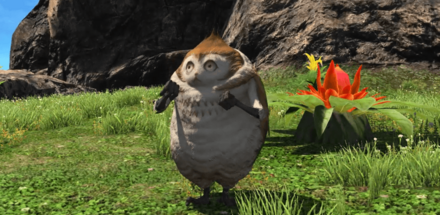 パイッサの画像