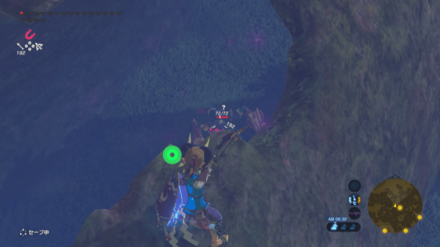 青ボコブリンを弓矢で倒す