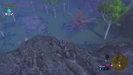 右手のリザルフォス