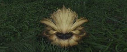 シャインフリースの画像