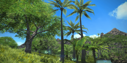 無人島のパームリーフの入手オブジェクト画像