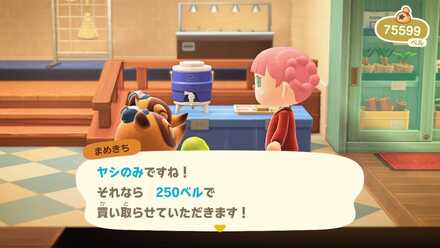 ヤシの実の値段