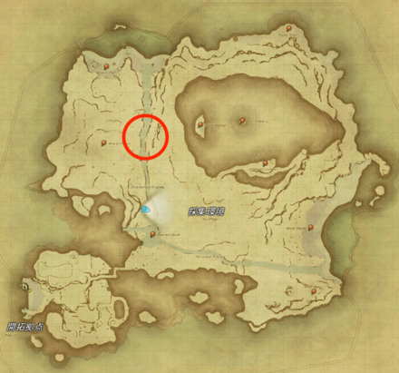 無人島のつる採集場所