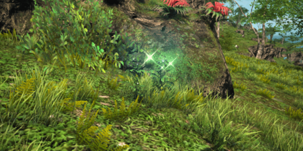 成熟したポポト