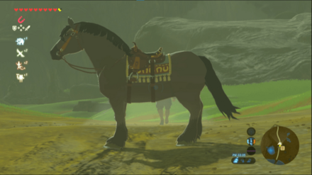 単色種の見た目