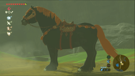 巨大馬の見た目