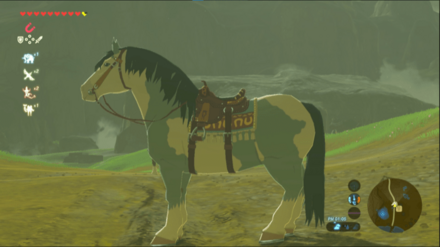 ブチ種の見た目