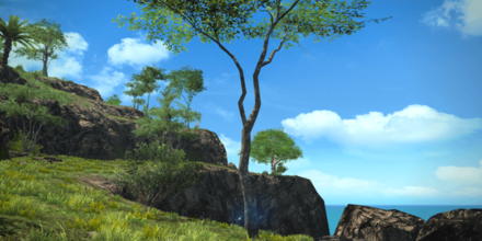 無人島の小枝の入手オブジェクト画像