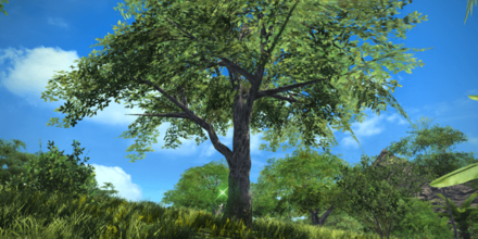 無人島の樹液の入手オブジェクト画像