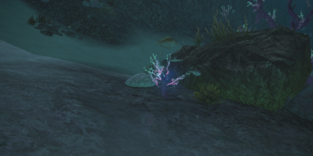 無人島のジェリーフィッシュの入手オブジェクト画像